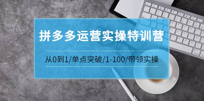 拼多多运营实操特训营：从0到1/单点突破/1-100/带领实操 价值2980元