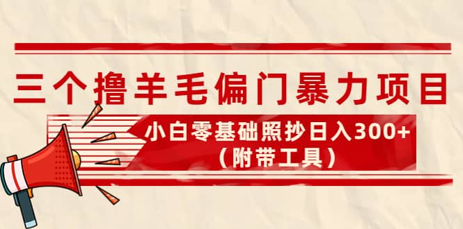 外面卖998的三个撸羊毛项目，小白零基础照抄（附带工具）