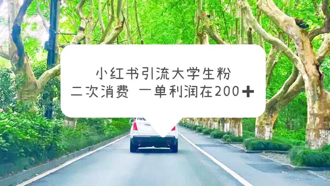 小红书引流大学生粉，变现项目，一单利润在200+（教程+资源）