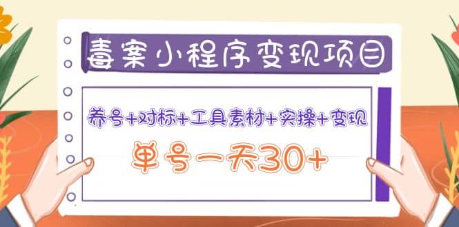 毒案小程序变现项目：养号+对标+工具素材+实操+变现