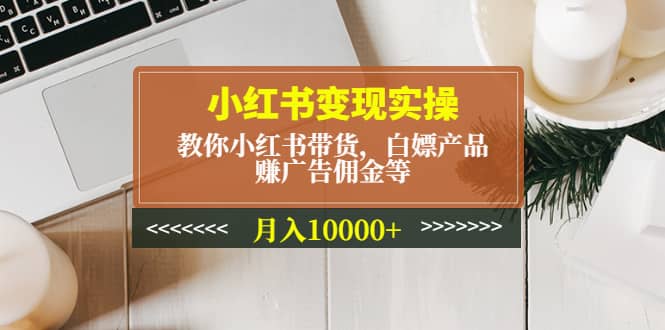 小红书变现实操：教你小红书带货，白嫖产品，赚广告佣金等