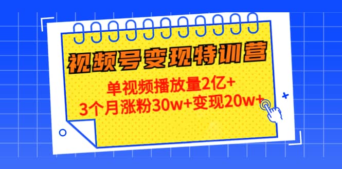 20天视频号变现特训营：单视频播放量2亿+