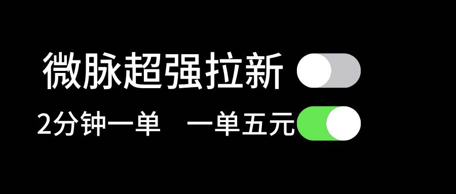 微脉超强拉新， 两分钟1单， 一单利润5块，适合小白