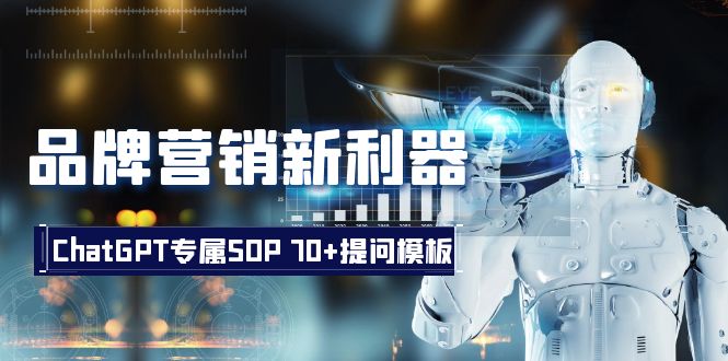 品牌推广新神器：ChatGPT专享SOP，70 提出问题模版