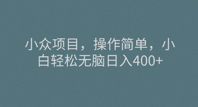 冷门新项目，使用方便，新手轻轻松松没脑子日入400-暖阳网-优质付费教程和创业项目大全