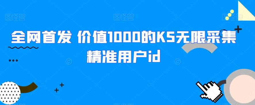 独家首发 使用价值1000的KS无尽收集精准客户id