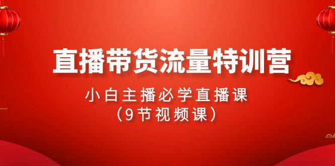 （9592期）2024直播卖货总流量夏令营，新手网络主播必会视频课堂（9节视频课程）