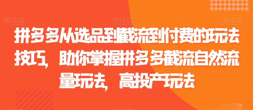 拼多多从选品到截流到付费的玩法技巧，助你掌握拼多多截流自然流量玩法，高投产玩法