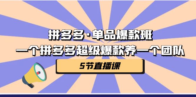 （7019期）拼多多平台·品类爆品班，一个拼多多平台超级爆款养一个精英团队（5节视频课堂）