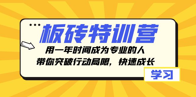 砖头夏令营，用一年时间变成专业人，陪你突破行动局限性，快速增长-暖阳网-优质付费教程和创业项目大全