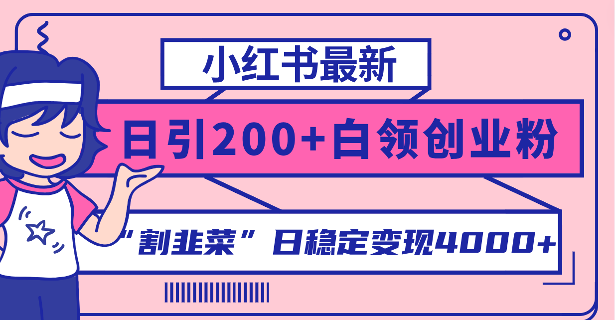 （8052期）小红书的全新日引200 自主创业粉”当韭菜割“日平稳转现4000 实际操作实例教程！-暖阳网-优质付费教程和创业项目大全