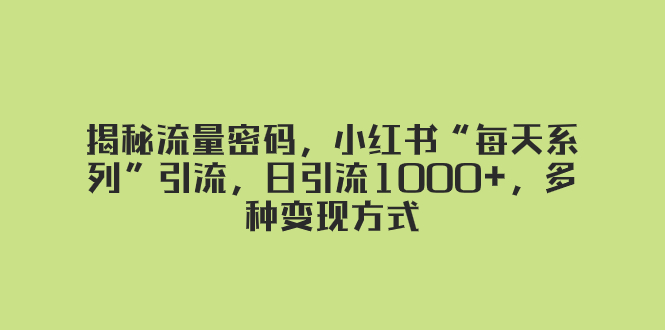 （8179期）揭秘流量密码，小红书“每天系列”引流，日引流1000+，多种变现方式-暖阳网-优质付费教程和创业项目大全