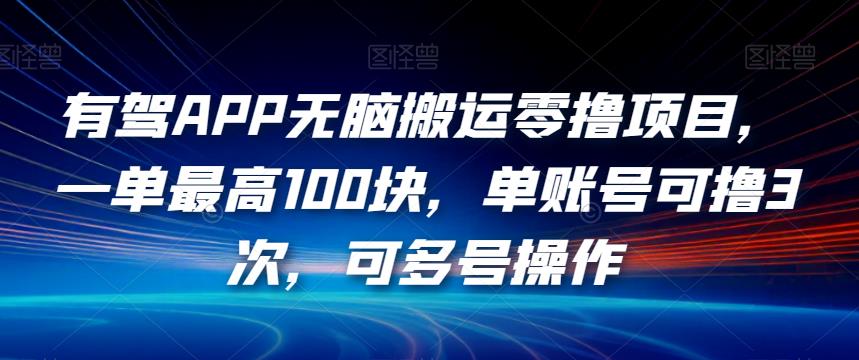 有驾APP没脑子运送零撸新项目，一单最大100块，单账户可撸3次，可多号实际操作【揭密】