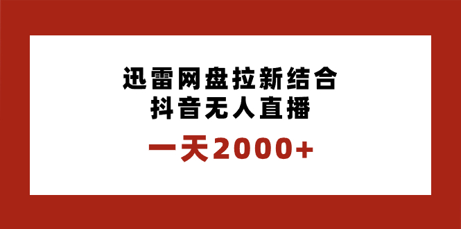 （8551期）一天2000 迅雷网盘引流融合抖音无人在线，独创性游戏玩法家庭保姆级课堂教学