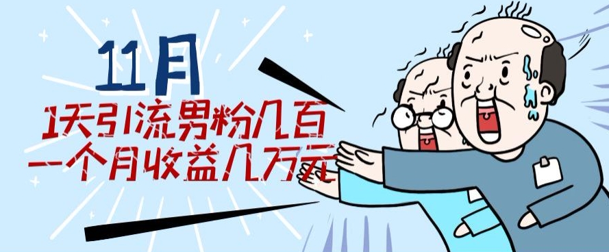 11月全新每日引流方法粉丝300 一个月盈利几万块