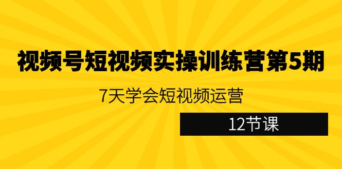 （9029期）微信视频号小视频实操训练营第5期：7天懂得自媒体运营（12堂课）