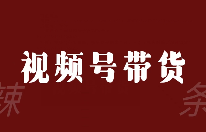 视频号带货同盟，赚信息不对称的卖货钱，仅需手机上随时随地都能做！-暖阳网-优质付费教程和创业项目大全