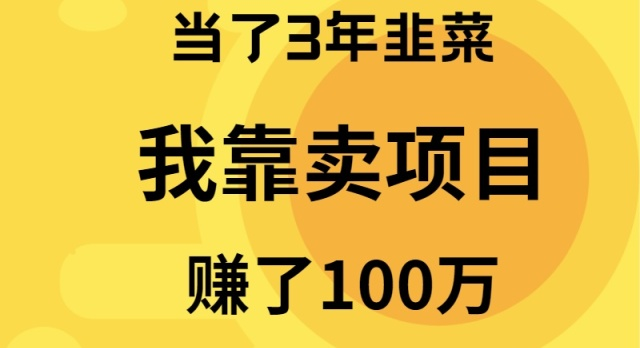 （9100期）当了3年韭菜，我靠卖项目赚了100万