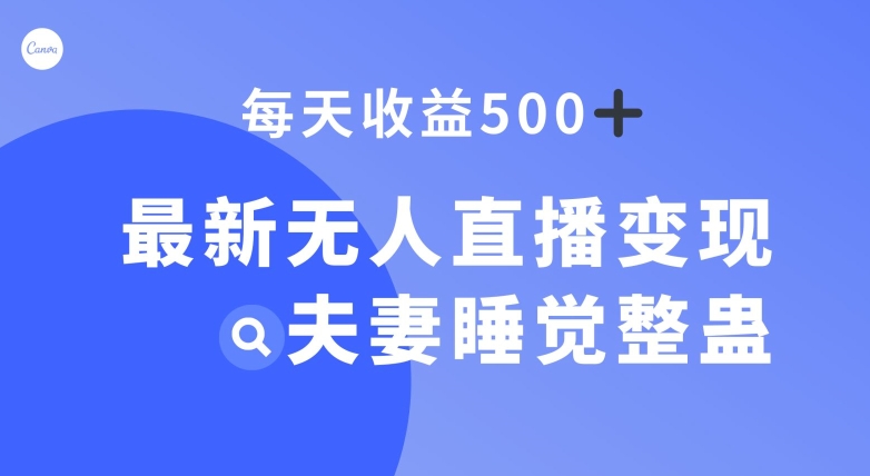 全新没有人引流变现，夫妻睡觉搞恶，每日躺着赚钱500 【揭密】