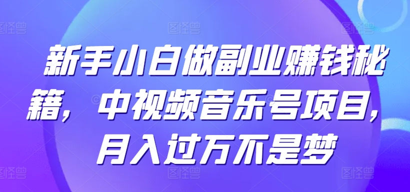 新手小白做副业赚钱秘籍，中视频音乐号项目，月入过万不是梦