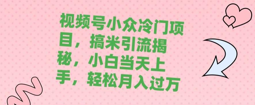 视频号小众蓝海项目，搞米推广方法揭秘，初学者当日新手入门，轻松月入过万