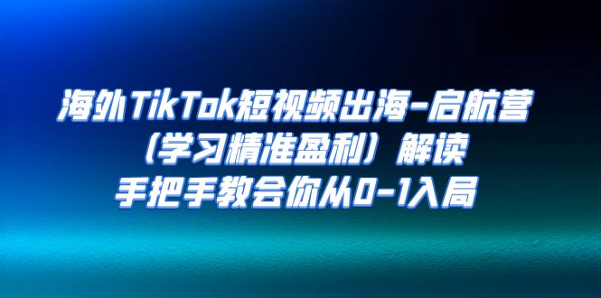 （7195期）国外TikTok小视频出航-起航营（学习培训精确赢利）讲解，手把手的教会大家从0-1进入