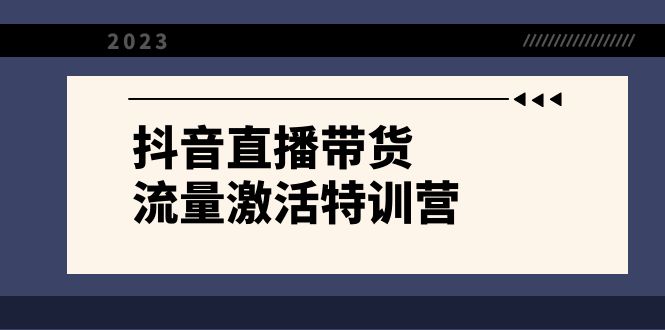 （8185期）抖音直播带货-流量激活特训营，入行新手小白主播必学（21节课+资料）-暖阳网-优质付费教程和创业项目大全