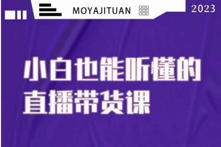 小威本威·听得懂的直播卖货课，新手也听得懂，20节详细-暖阳网-优质付费教程和创业项目大全