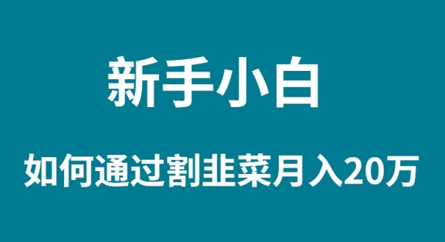 （9308期）新手入门怎样通过当韭菜割月入 20W