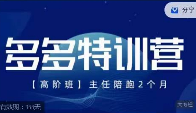 纪负责人·多多的夏令营高级班【9月13日升级】，拼多多最新技巧攻略落地式实际操作