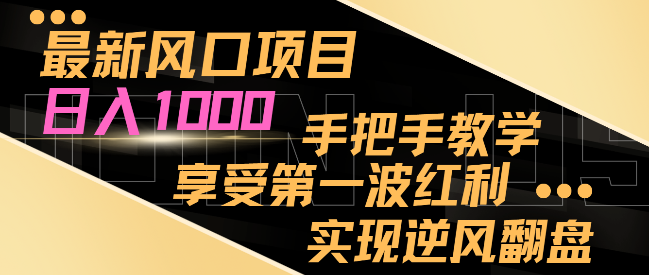 全新蓝海项目，日入1000，一对一教学，享有第一波收益，完成让二追三