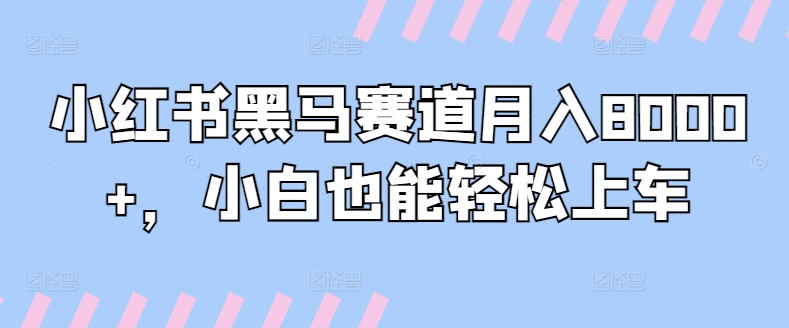 小红书黑马赛道月入8000+，小白也能轻松上车