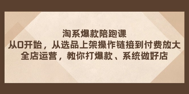 淘宝爆品陪跑课 从选款发布实际操作链接到付钱变大 店铺经营 打爆款 系统软件搞好店