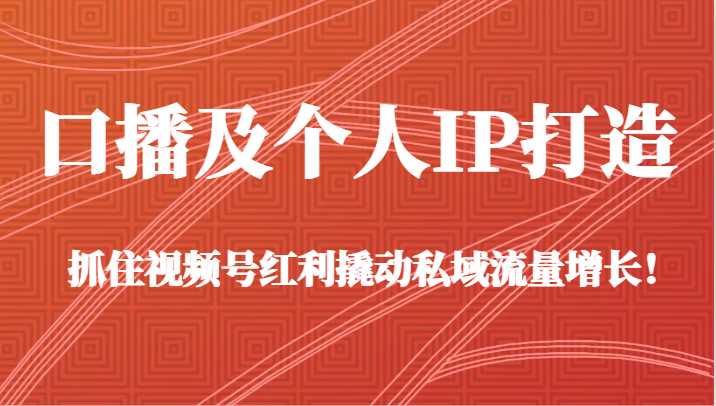 口播文案和个人IP打造出，把握住微信视频号收益撬起私域流量池提高！（45堂课）