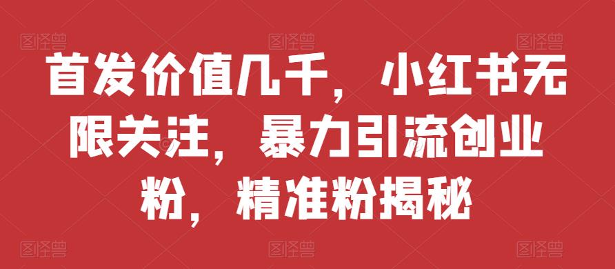 先发使用价值好几千，小红书的无尽关心，暴力行为引流方法自主创业粉，精准粉揭密