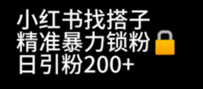 小红书的找搭子暴力倾向精准引粉 推广方法日引200 精准粉