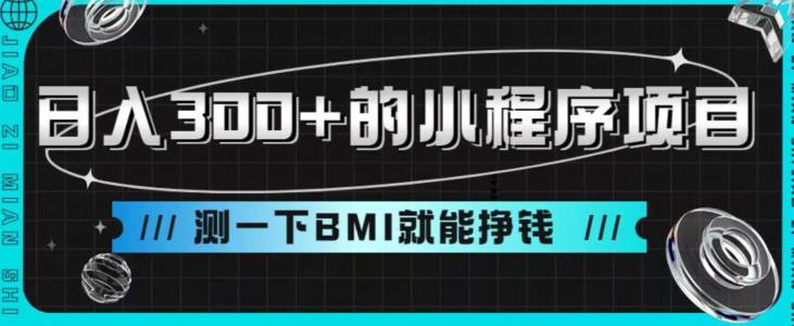 日入300 的小程序项目，测一下BMI也能赚钱【揭秘】