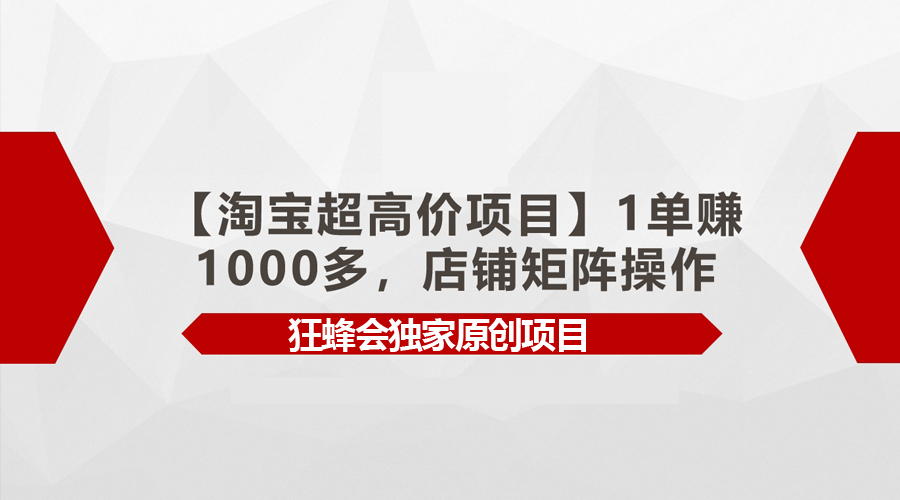 （9849期）【淘宝网超高价位新项目】1单赚1000多，店面引流矩阵实际操作