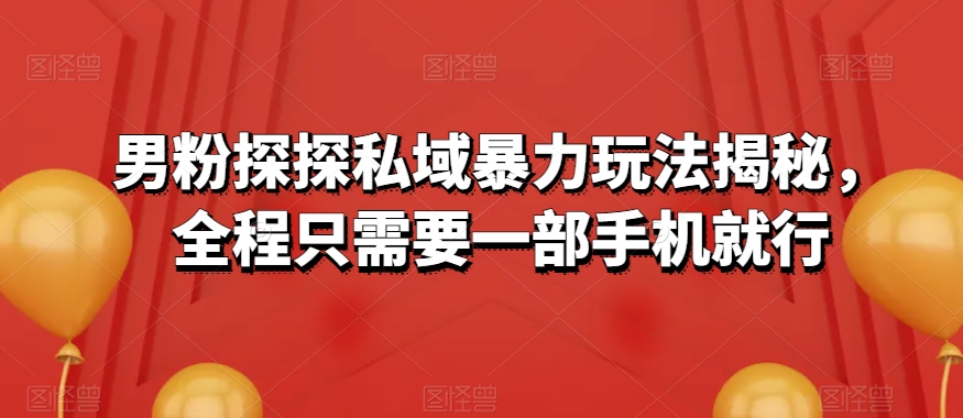 男粉探探私域暴力玩法揭秘，全程只需要一部手机就行-暖阳网-优质付费教程和创业项目大全