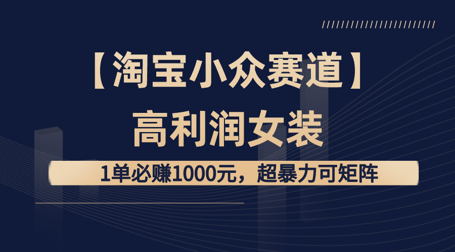 （8608期）【淘宝小众赛道】高利润女装：1单必赚1000元，超暴力可矩阵