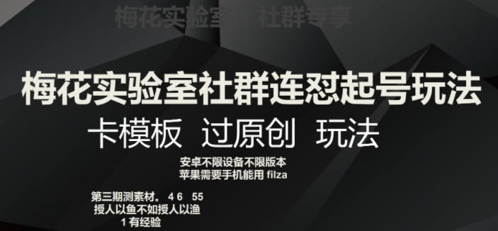 红梅花试验室社群营销连怼养号游戏玩法，卡模版过原创设计游戏玩法【揭密】