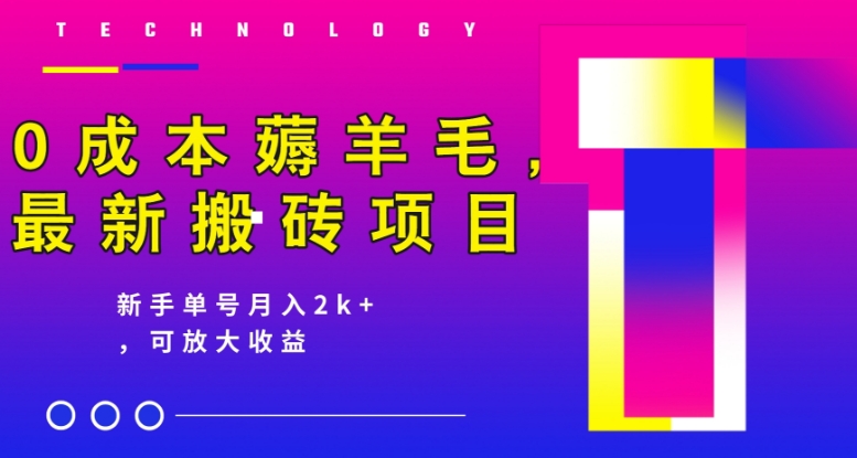 0成本费撸羊毛，全新搬砖项目，初学者运单号月入2k ，可变大实际操作