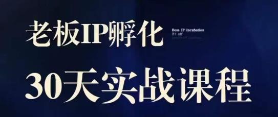 诸葛亮·2023老总IP实战演练课，实体线同城引流拓客，IP卵化必听