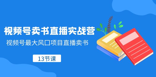 视频号卖书直播实战营，视频号最大风囗项目直播卖书（13节课）-暖阳网-优质付费教程和创业项目大全