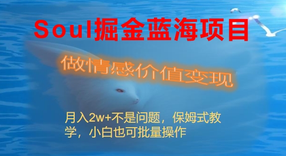 （8531期）Soul掘金队蓝海项目细分赛道，做情绪价值变现，月收入2w 不是事