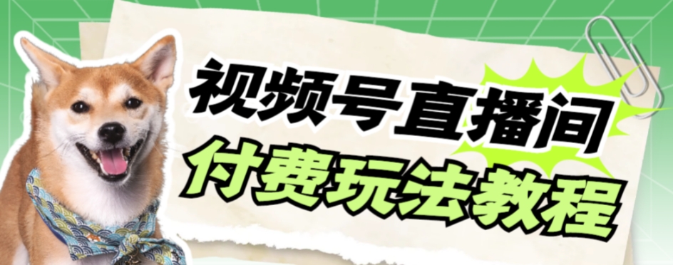 微信视频号漂亮美女付钱无人直播，轻轻松松日入500 【详尽游戏玩法实例教程】