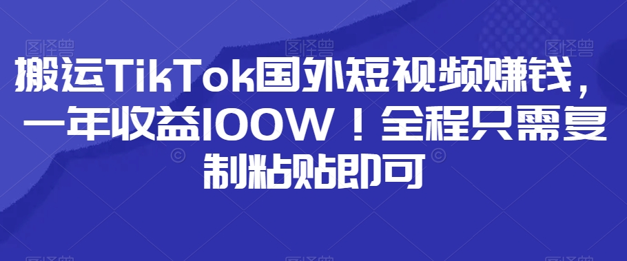 运送TikTok海外短视频赚钱，一年盈利100W！全过程仅需拷贝就可以