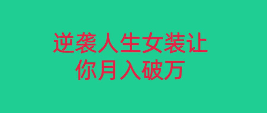 小红书的品牌女装无货源电商月入了万，只要肯努力便会有成果！