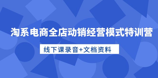 （10192期）淘宝电子商务全店动销运营模式夏令营，面授课音频 档案文件