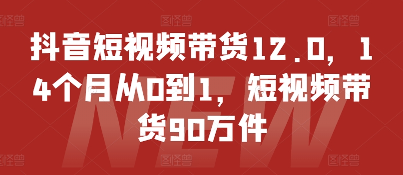 抖音小视频卖货12.0，14个月从0到1，短视频卖货90千件